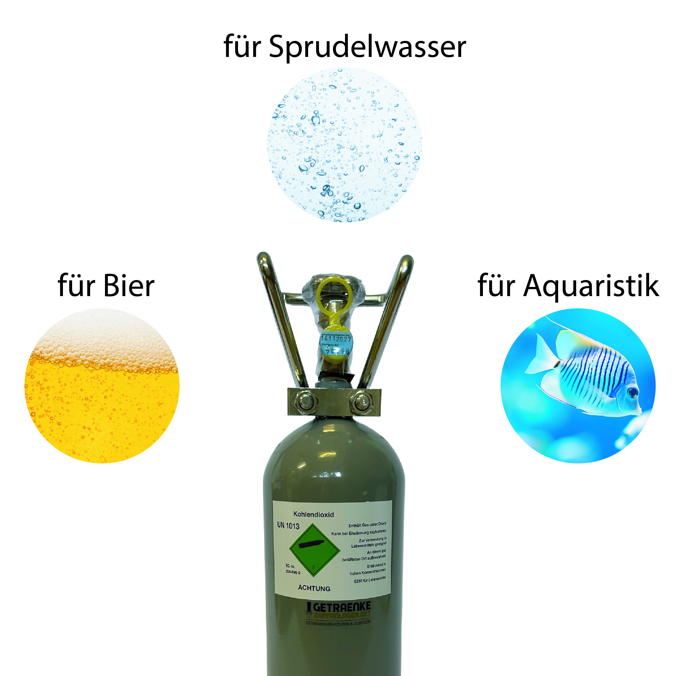 Comprar uma garrafa de CO₂ - Tudo o que precisa de saber sobre o prazo de validade, a utilização e a escolha certa para torneiras, água com gás e aquários